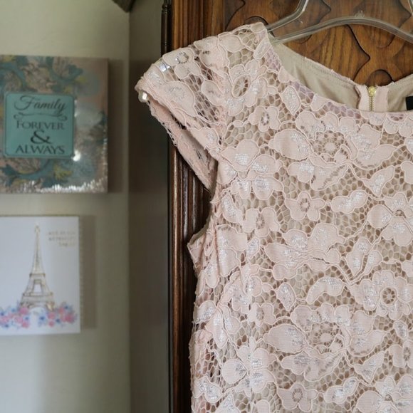 PERCEPTIONS New York Blush Nude Lace Sheath Dress - NWT! - Picture 5 of 16